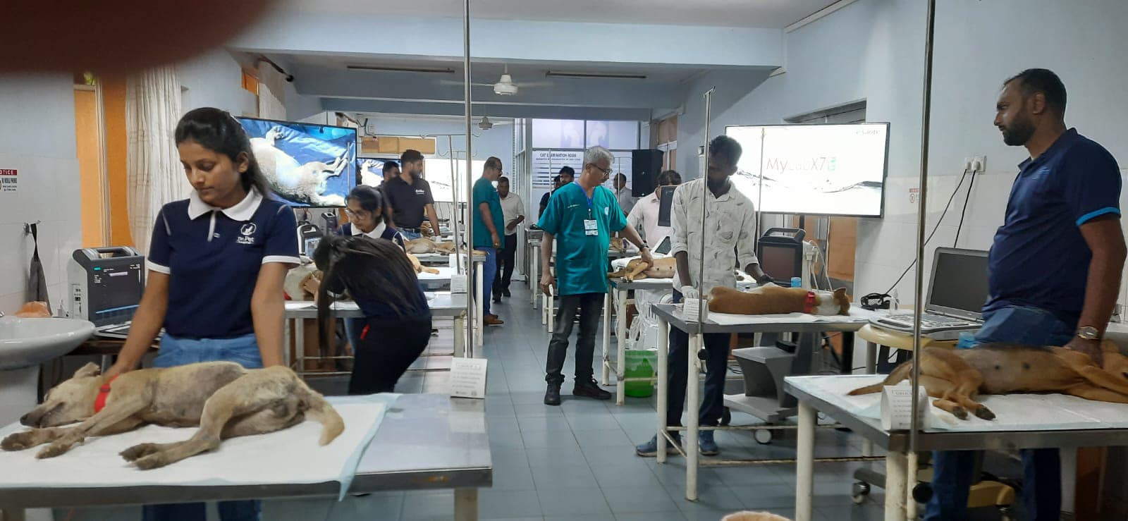 Collaborative Training Programs